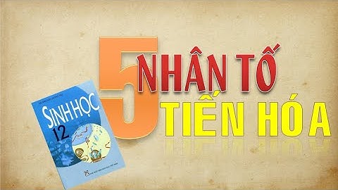 Dấu hiệu chủ yếu của tiến hóa sinh học năm 2024