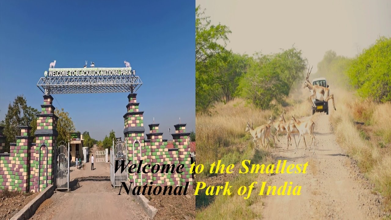 Velvadar National Park | Most Diverse National Park in India | Gujarat- EP 01 | 4K