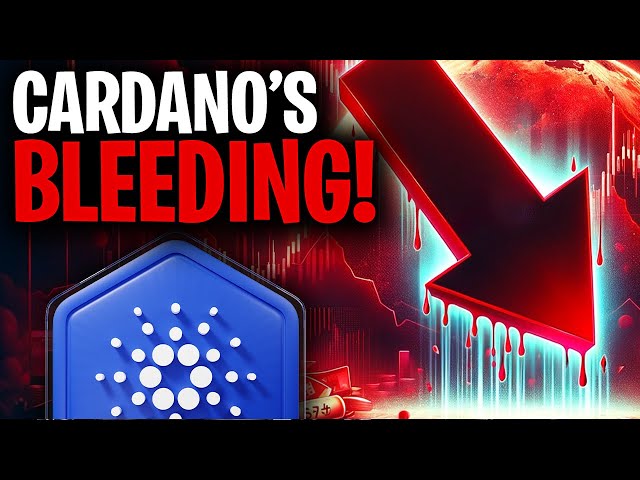 Cardano (ADA) Update: Will ADA see a MEGA surge? (Cardano News Today) class=