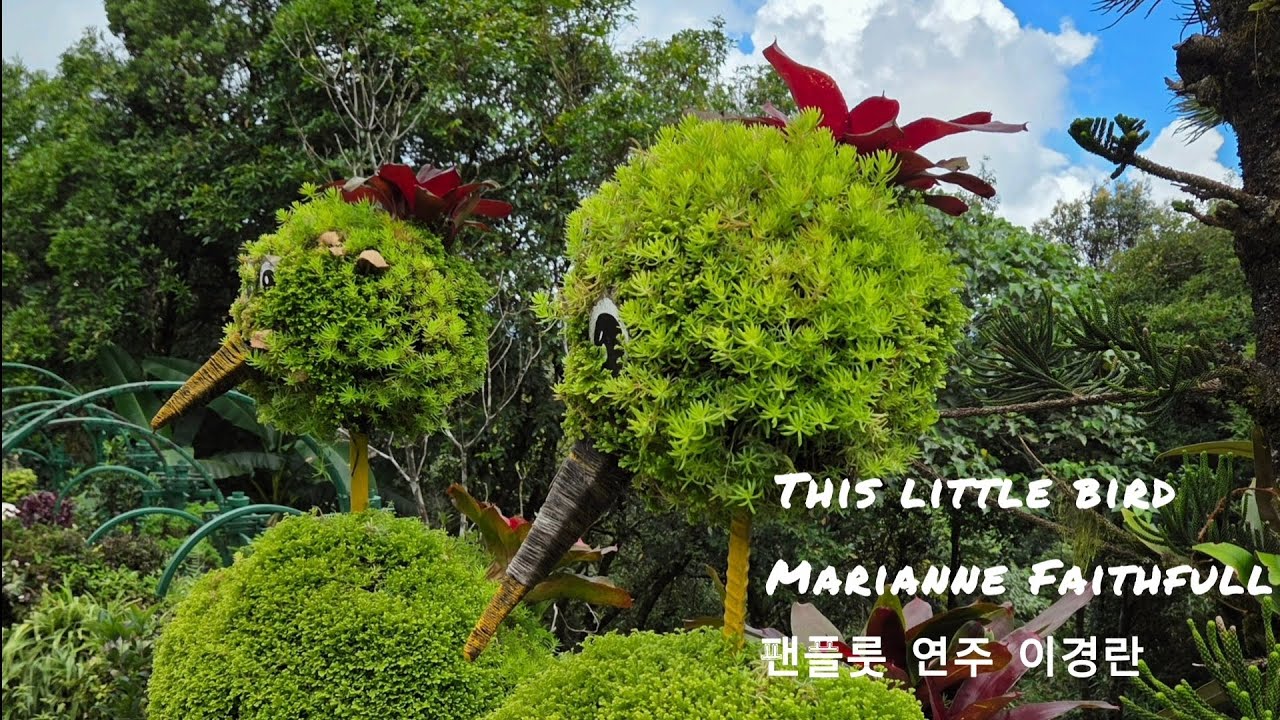 [Healing in 팬플룻]song-Marianne Faithfull/ 팬플룻 연주-이경란