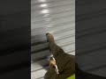 Gettin high in the warehouse #electrical #industrialelectrician #industrial #electrician #electrical