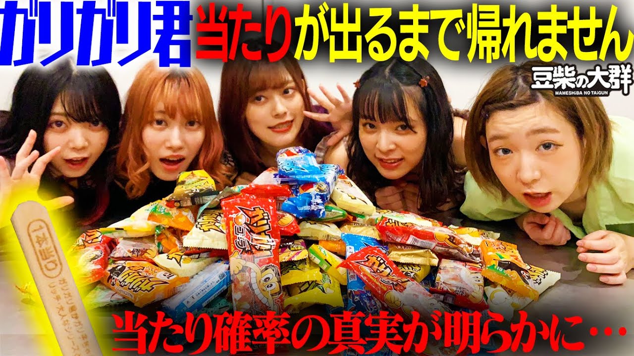 【豆柴の大群】ガリガリ君当たりが出るまで帰れません