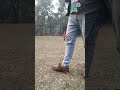 Best park
