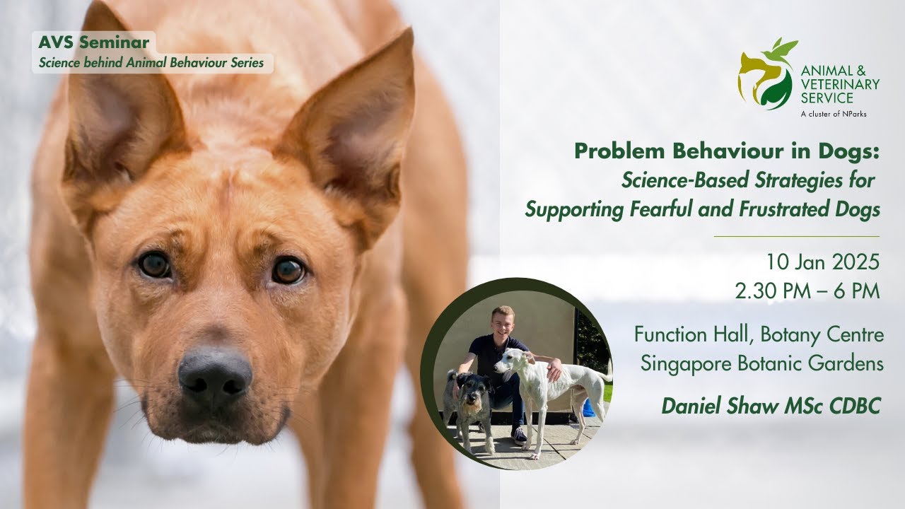 AVS Webinar Series | Science behind Animal Behaviour: Neurobiology of Fearful & Frustrated Dogs