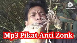 SUARA PIKAT BURUNG JITU BURCIL RIBUT TERBAIK 👍💯 TERBARU 2023 BURUNG GAK TAHAN DENGER SUARA INI