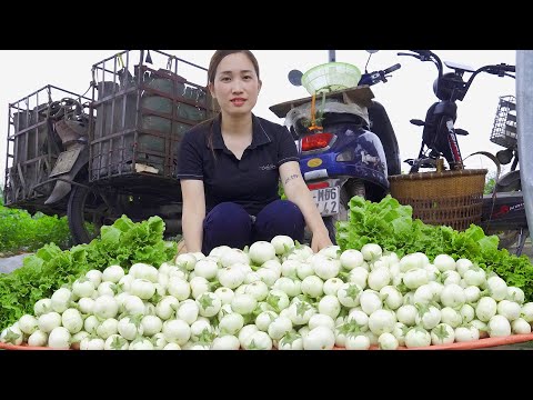 Harvesting Super Big White Eggplant & Forest Vegetables Goes to the market sell - Food | Lý Thị Hoa