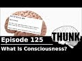 125. What Is Consciousness? | THUNK