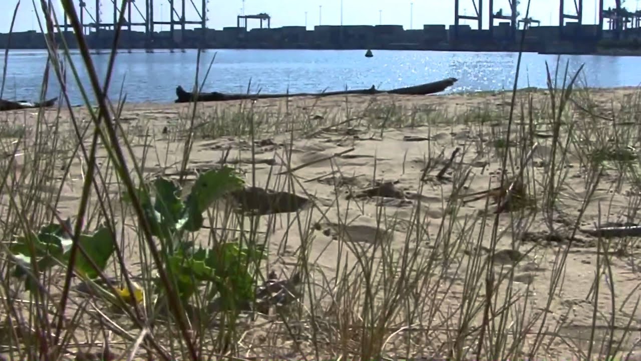 Północny eko pomocnik Odc 2 Nie deptać klifów Kaszubskie Klify i brzeg morski