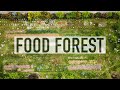 FOOD FOREST E ORTO IN PERMACULTURA. CON STEFANO SOLDATI