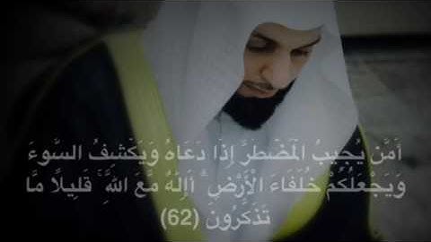 نبيل الصالح / مقتطفات من القرآن الكريم .