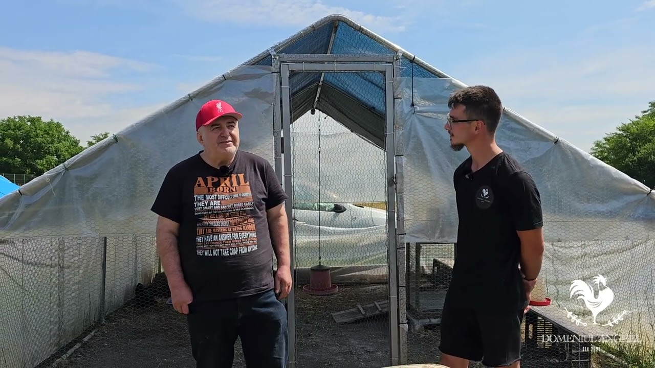 In vizita la domnul Florin Calinescu