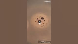 lagu enak di dengar sambil minum kopi hangat