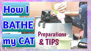 HOW TO BATHE A CAT | Adult version | Ashby the grey cat by Ashby the grey cat 457 views 3 years ago 3 minutes, 4 seconds