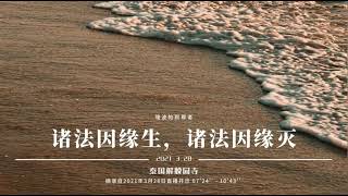 Ds225 诸法因缘生 诸法因缘灭 隆波帕默尊者 21年3月28日 中文同声传译 Youtube Ds225 诸法因缘生 诸法因缘灭 隆波帕默尊者 21年3月28日 中文同声传译 Youtube