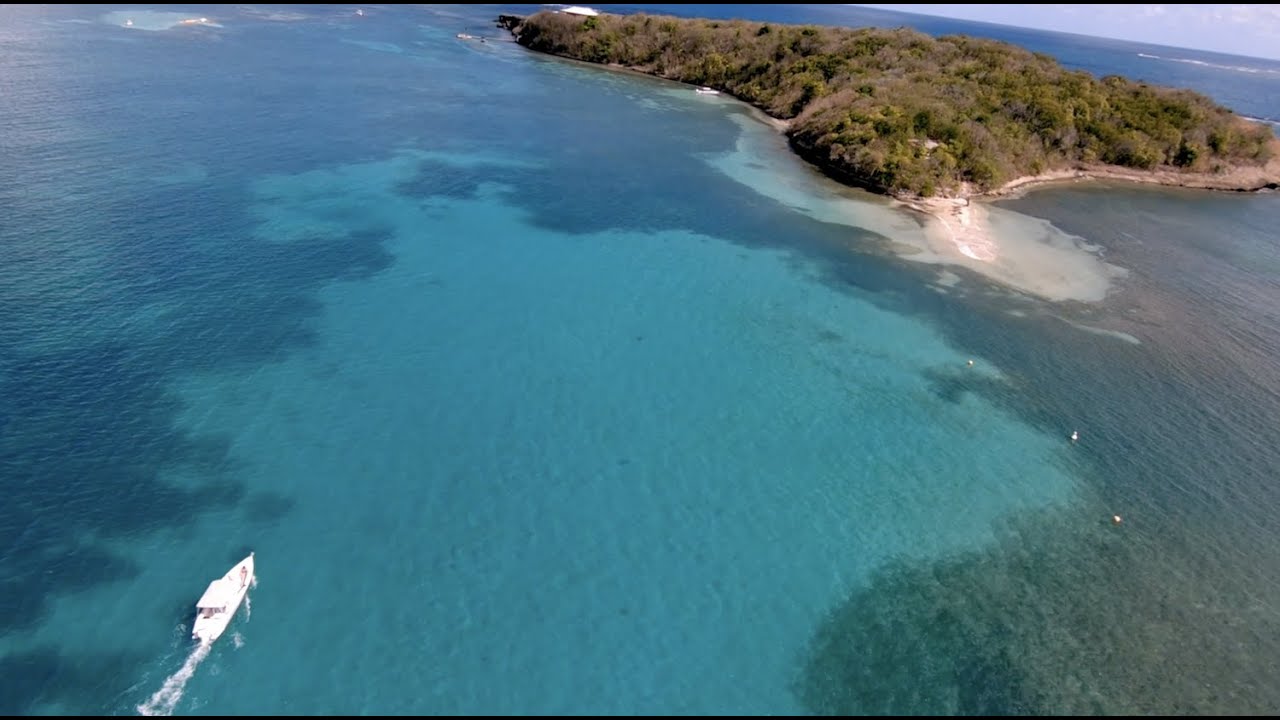 Les Fonds Blancs avec Gérald - Martinique 2022 - YouTube