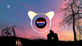 Download Lagu Sanes Remix (EVS Radio Edit) MP3