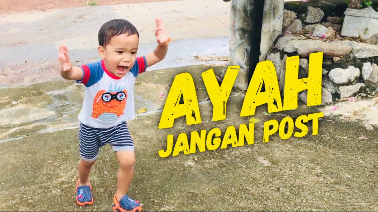 Kura kura | Batu | Hujan