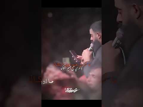 أدور فزعتك مجتبى الكعبي مولاتي 1 فاطمة اشتراك العراق لايك تيك توك ستوريات تصميمي ترند 