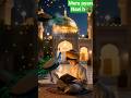 agar tum Gaur Se mere Nabi ki baat#muhammadﷺ#islamicvideo#cute#ytshorts#allah#navi#madeena