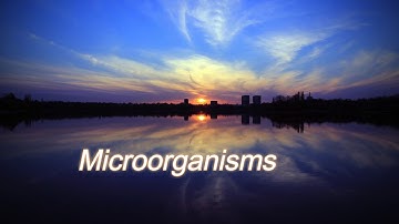 Save Microorganisms
