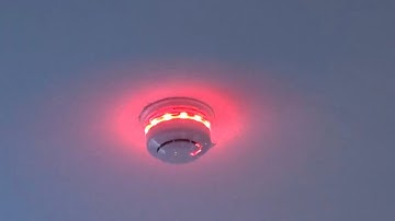 Apollo XP95/Discovery Home Fire Alarm REAL Smoke Test!