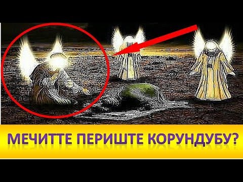 Video: Анын чиркин профили бар экенине ишенчүмүн: кызы Долина апасынын комплекси жөнүндө айтып берди