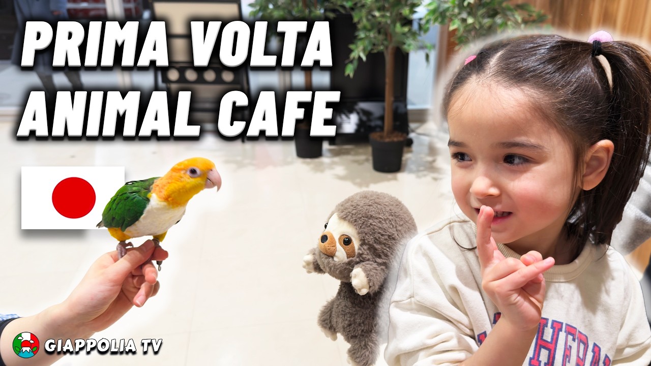 Prima esperienza in un animal cafe in Giappone | È stata morsa 😱
