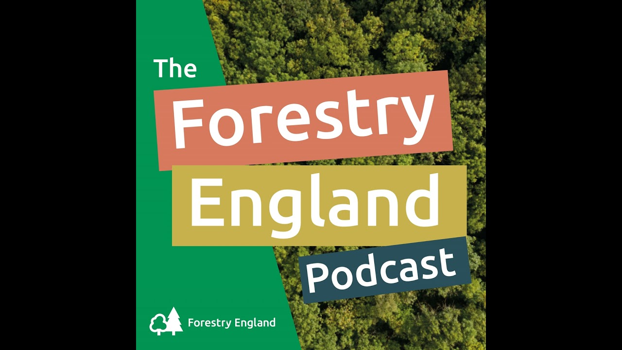 Planning forests for the future – at Thetford Forest, Norfolk