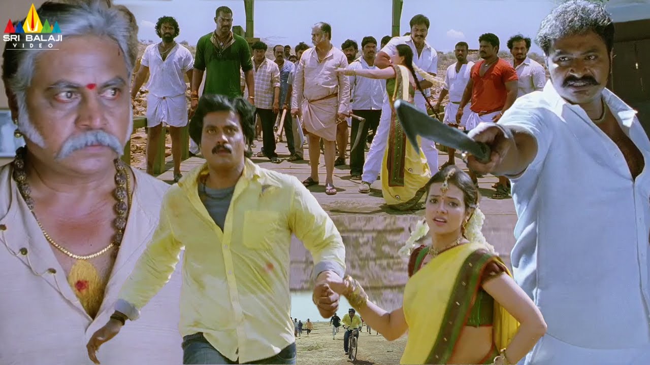 Maryada Ramanna Movie Action Scenes Back to Back | Telugu Movie Scenes | Sunil | Nagineedu | Supreet