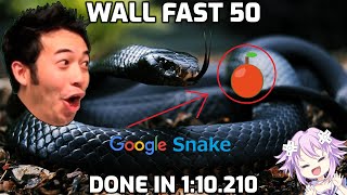 Google Snake Wall Fast 50 Apples in 1m10s210ms [World Record]