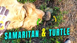 Samaritan Safely Move a Turtle to the Side of the Road