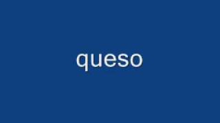 queso insekta chords