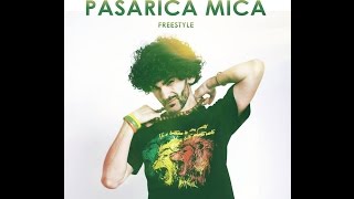 Mr.levy - Pasarica Mica Freestyle