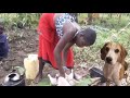 Slaughtering Chicken Barefoot African Village Girl S Life