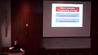 The Long and the Short of It: Telomeres, Aging, and Chronic Disease