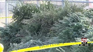 Charlottesville and Albemarle County begin annual Christmas tree recycling program