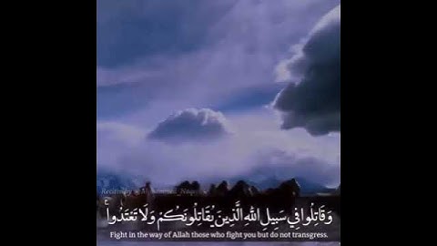 القارئ  #محمد النقيب    وقاتلوا في سبيل الله الذين يقاتلونكم ولا تعتدوا إن الله لا يحب المعتدين   ال