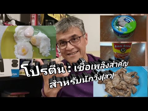 โปรตีน​: เชื้อเพลิงสำคัญของนักวิ่ง/ผู้ออกกำลังกาย​ (สว)