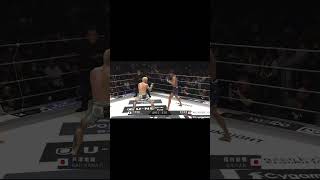 ハズレの試合ない。 #rizin #格闘技 #mma #福田龍彌
