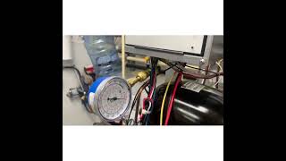 Celebrity Scotsman Ice machine no production diagnosis. Wealth