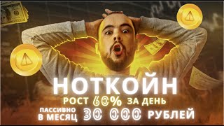 Notcoin вырос на 60% ЗА ДЕНЬ. Пассивный доход 30000 рублей от заданий ноткойна на платине. Мои планы