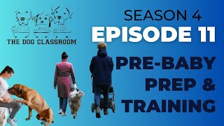 Pre-Baby Prep &amp; Training  - The Dog Classroom Podcast - S4E11
