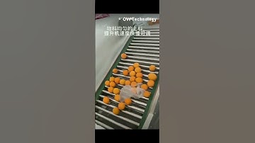 Orange grader machine Fruit vegetable grader machine