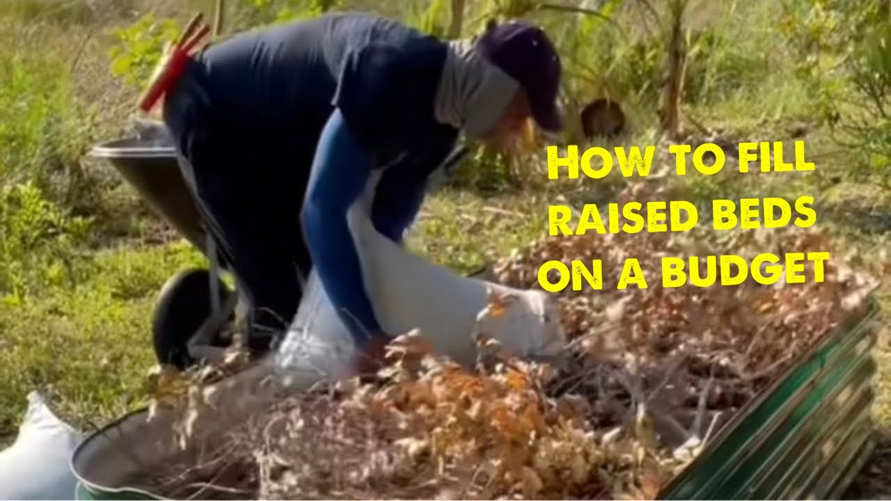 How to fill your raised beds on a budget ! - YouTube