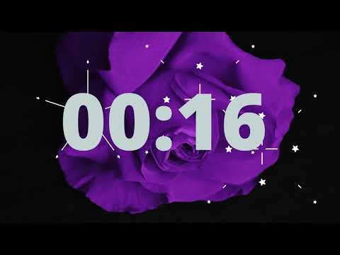 Purple Rose 1 Minute Timer