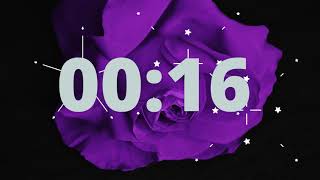 Purple Rose 1 Minute Timer