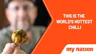 The world's hottest chilli 'Pepper X' | My Nation