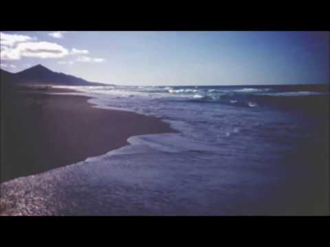 Still Corners - The Trip (Unofficial video)