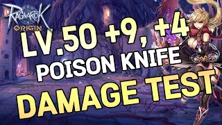 Ragnarok Origin Thief Assassin Assassin Cross LV.50 +9 and +4 Poison Knife Damage Test 라그나로크 오리진 screenshot 5