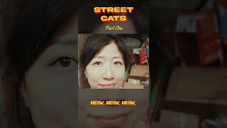 Street Cat Showdown Part 1: The Feline Fighters Take Over #CatFight #sketchcomedy  #streetcats